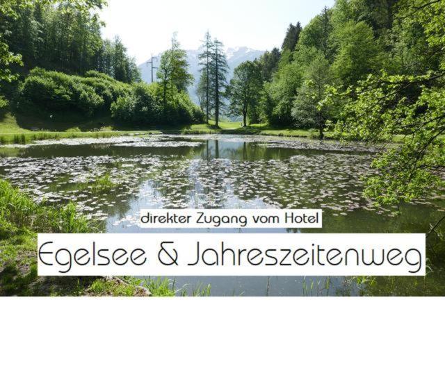 Hotel Adler Golling an der Salzach Exterior foto
